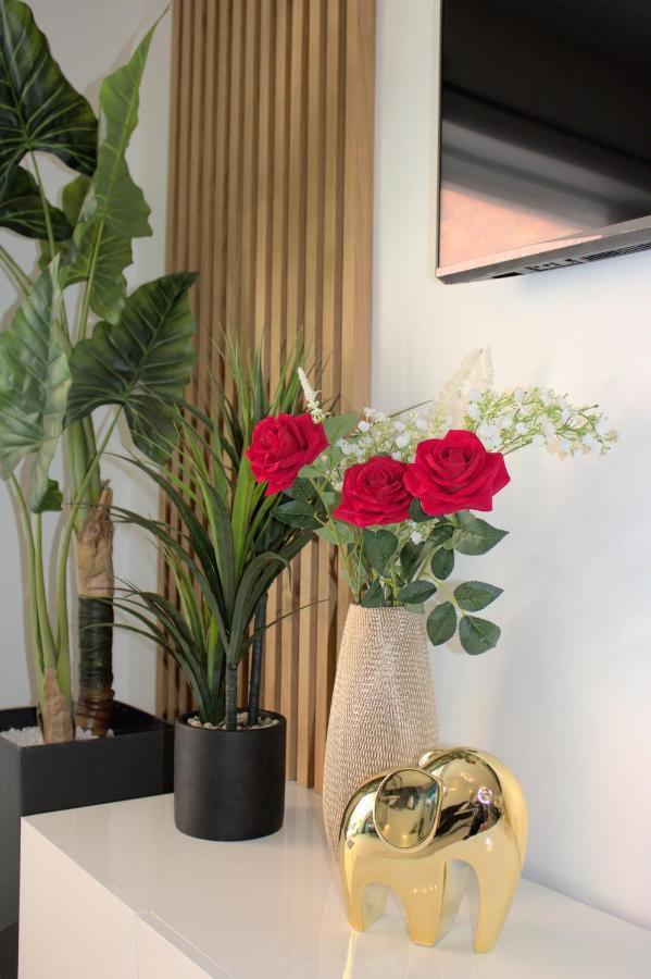 L'Escale Tropicale, Appartement Independant Avec Terrasse Privative Saint-Quentin  Buitenkant foto