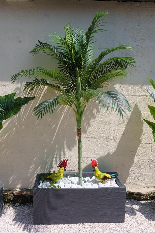 L'Escale Tropicale, Appartement Independant Avec Terrasse Privative Saint-Quentin  Buitenkant foto
